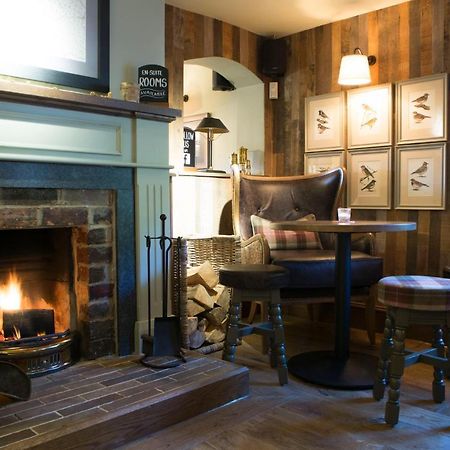 Red Lion Inn Little Budworth Eksteriør bilde